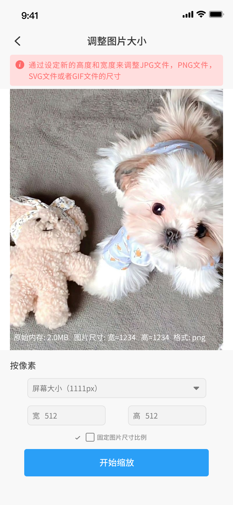 摄影图1